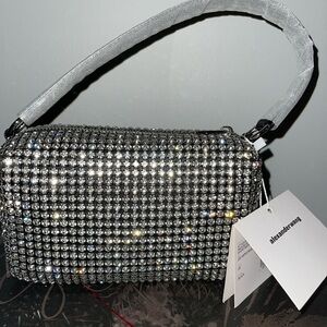 Alexander Wang Heiress Pouch in Crystal Mesh